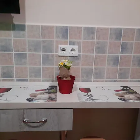 Andrea Apartman Hajdúszoboszló Extérieur photo