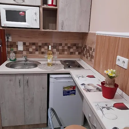 Andrea Apartman Hajdúszoboszló Extérieur photo